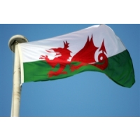 Broadband rollout 'vital to Wales'