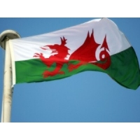 WAG aims to exploit digital age by improving Welsh broadband