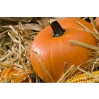 Superfast broadband welcomed to Forth with Halloween-themed cabinet