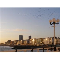 Brighton residents block BT broadband plans