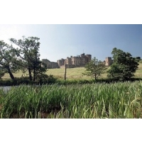 Fibre optic broadband comes to Alnwick properties Fibre optic broadband comes to Alnwick properties