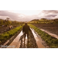 Council assists farmer in broadband connection